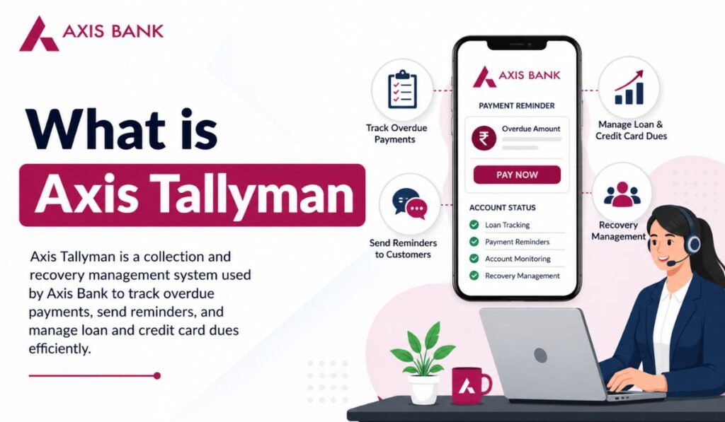 What is Axis Tallyman